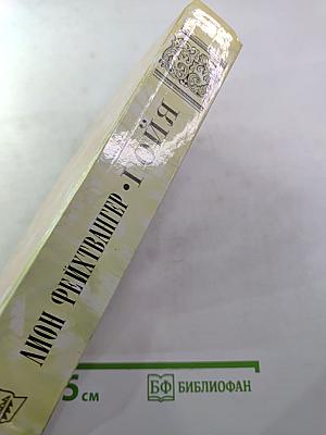 Гойя, или Тяжкий путь познания