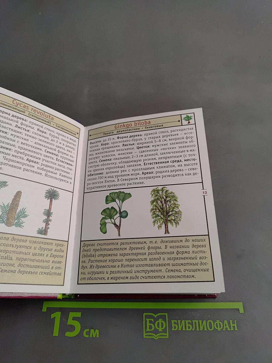 Карманная энциклопедия. Деревья