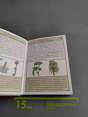 Карманная энциклопедия. Деревья