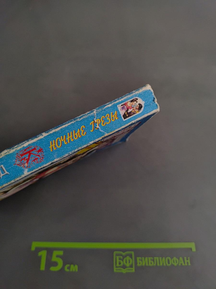 Ночные грезы