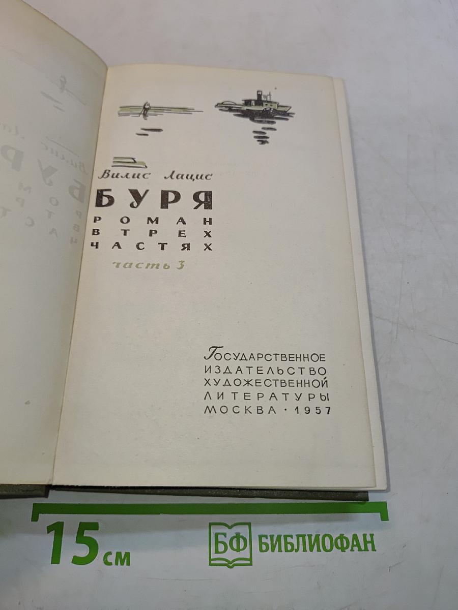 Буря. Роман в трех частях. Часть 3