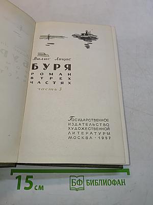 Буря. Роман в трех частях. Часть 3
