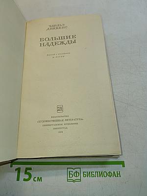 Большие надежды