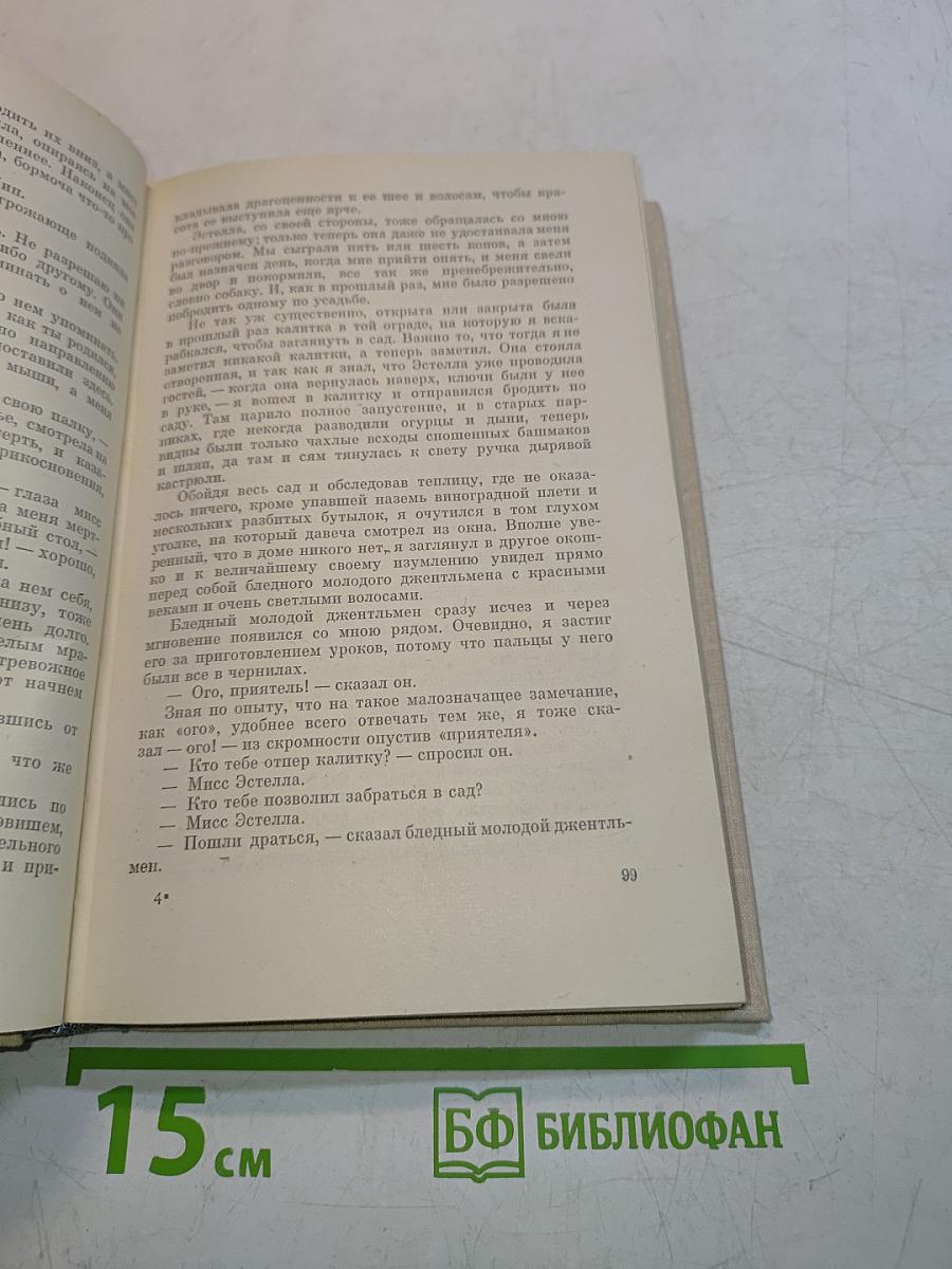 Большие надежды