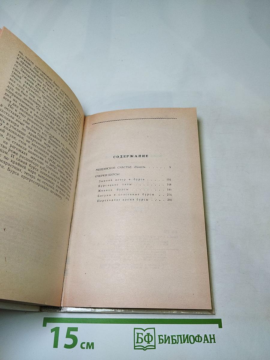 Мещанское счастье. Очерки бурсы