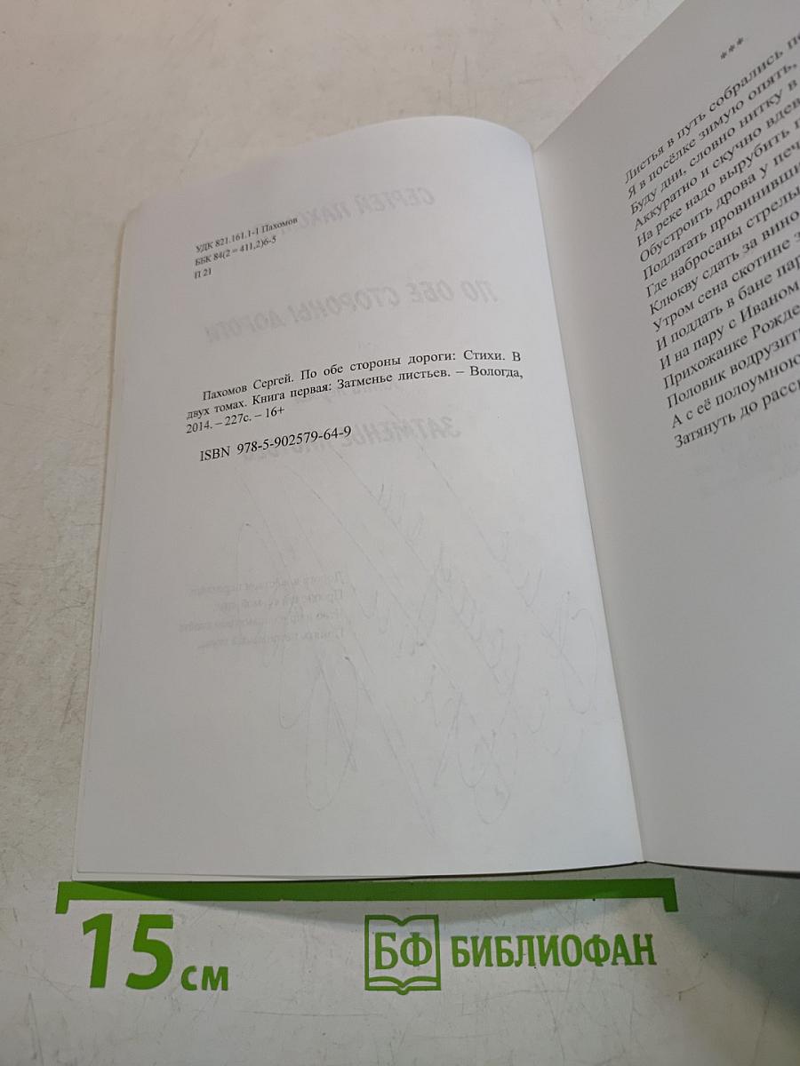 По обе стороны дороги. Книга первая: Затменье листьев