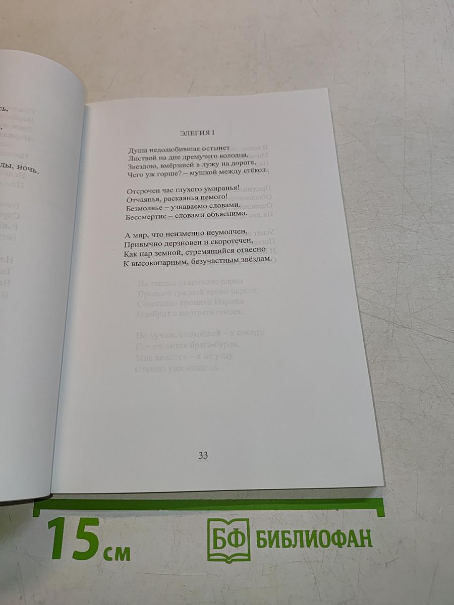 По обе стороны дороги. Книга первая: Затменье листьев