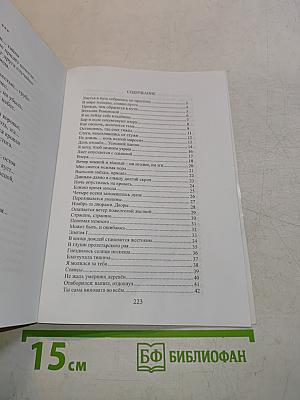 По обе стороны дороги. Книга первая: Затменье листьев