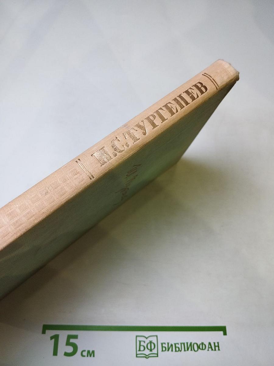 Собрание сочинений. Том второй: Рудин, Дворянское гнездо