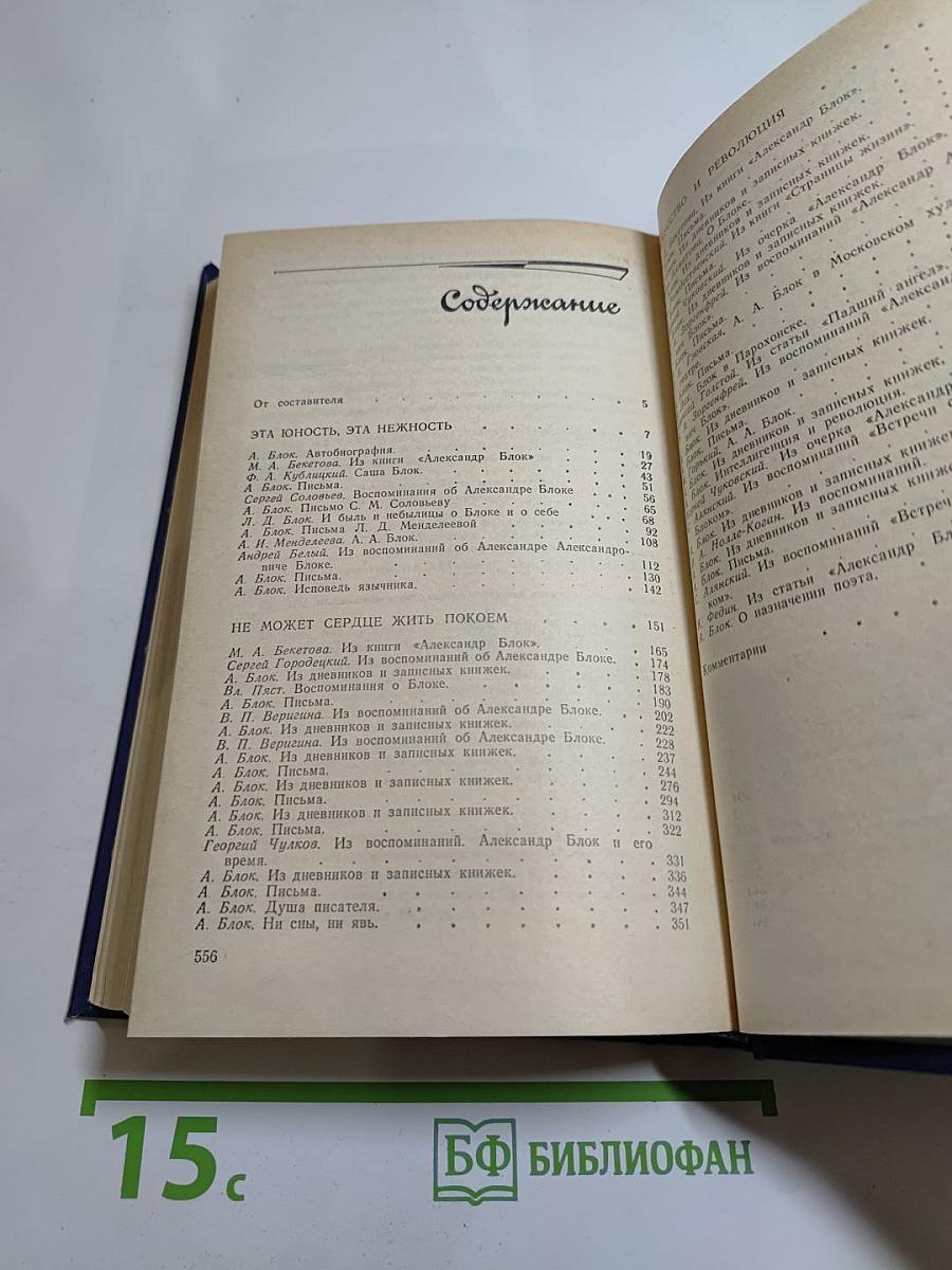 Я лучшей доли не искал... Судьба Александра Блока в письмах, дневниках, воспоминаниях