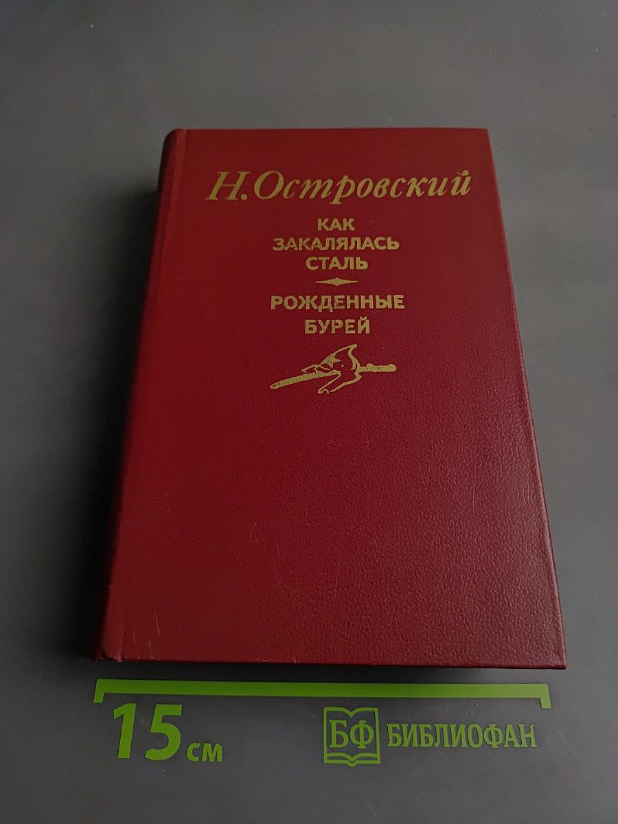 Как закалялась сталь. Рожденные бурей