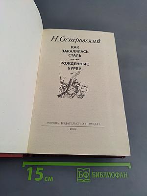 Как закалялась сталь. Рожденные бурей