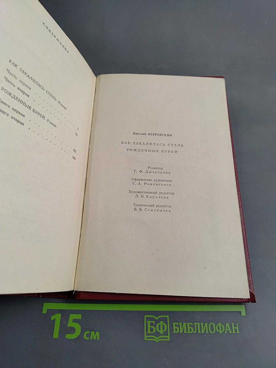 Как закалялась сталь. Рожденные бурей
