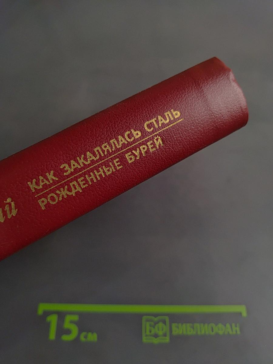 Как закалялась сталь. Рожденные бурей