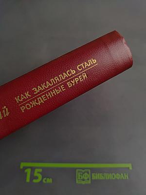 Как закалялась сталь. Рожденные бурей