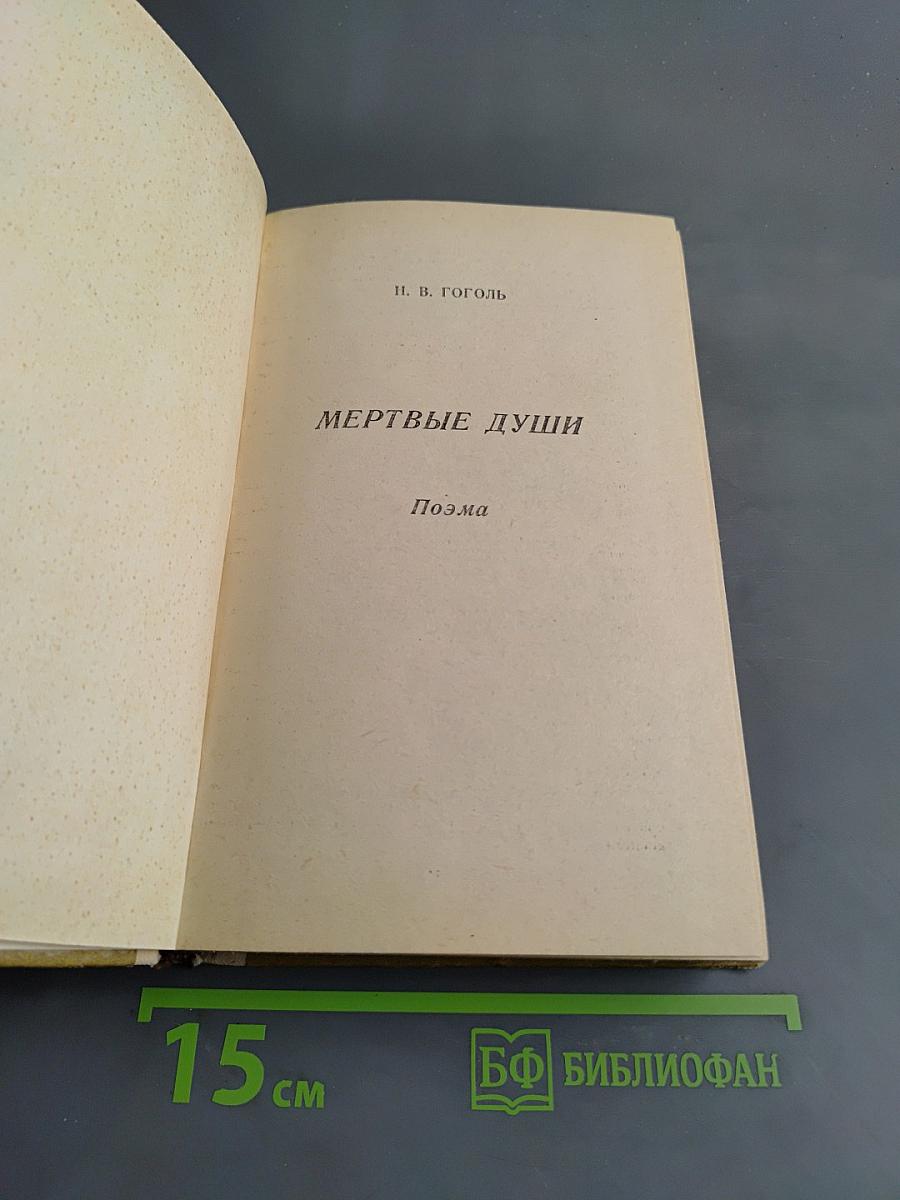 Мертвые души. Поэма. Том первый