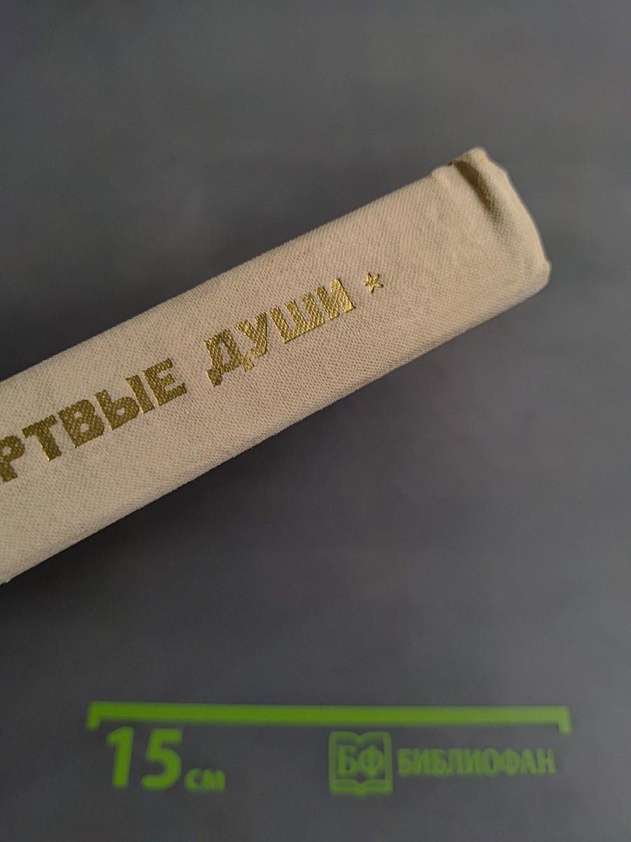 Мертвые души. Поэма. Том первый