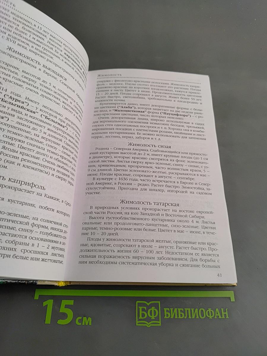 Красивоцветущие кустарники