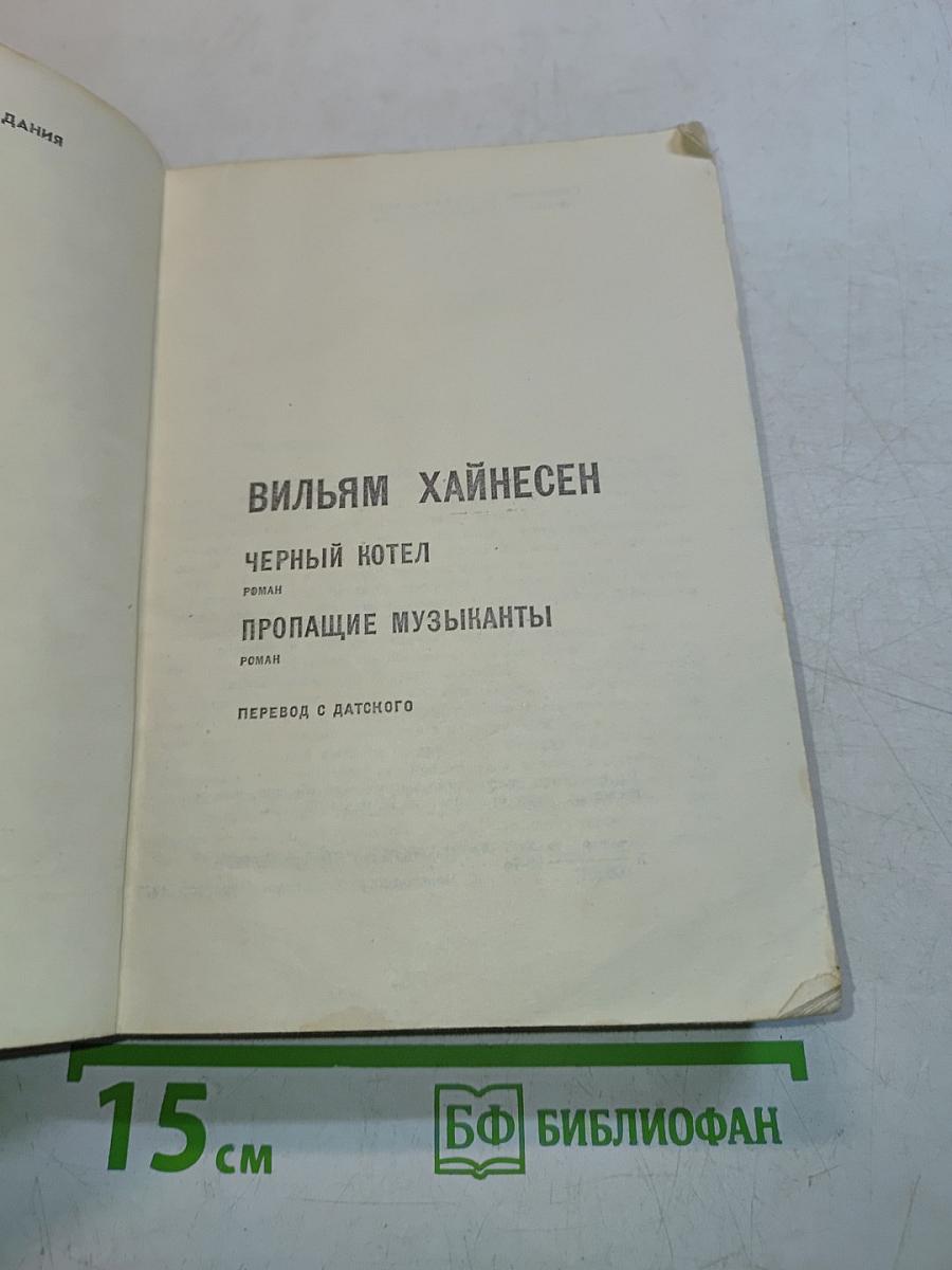 Черный котел. Пропащие музыканты