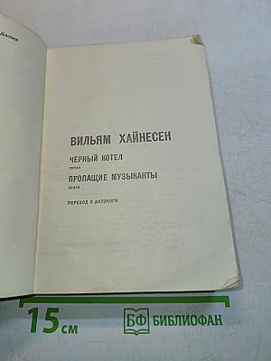 Черный котел. Пропащие музыканты