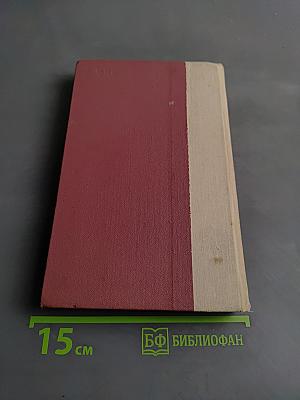 Победитель турок