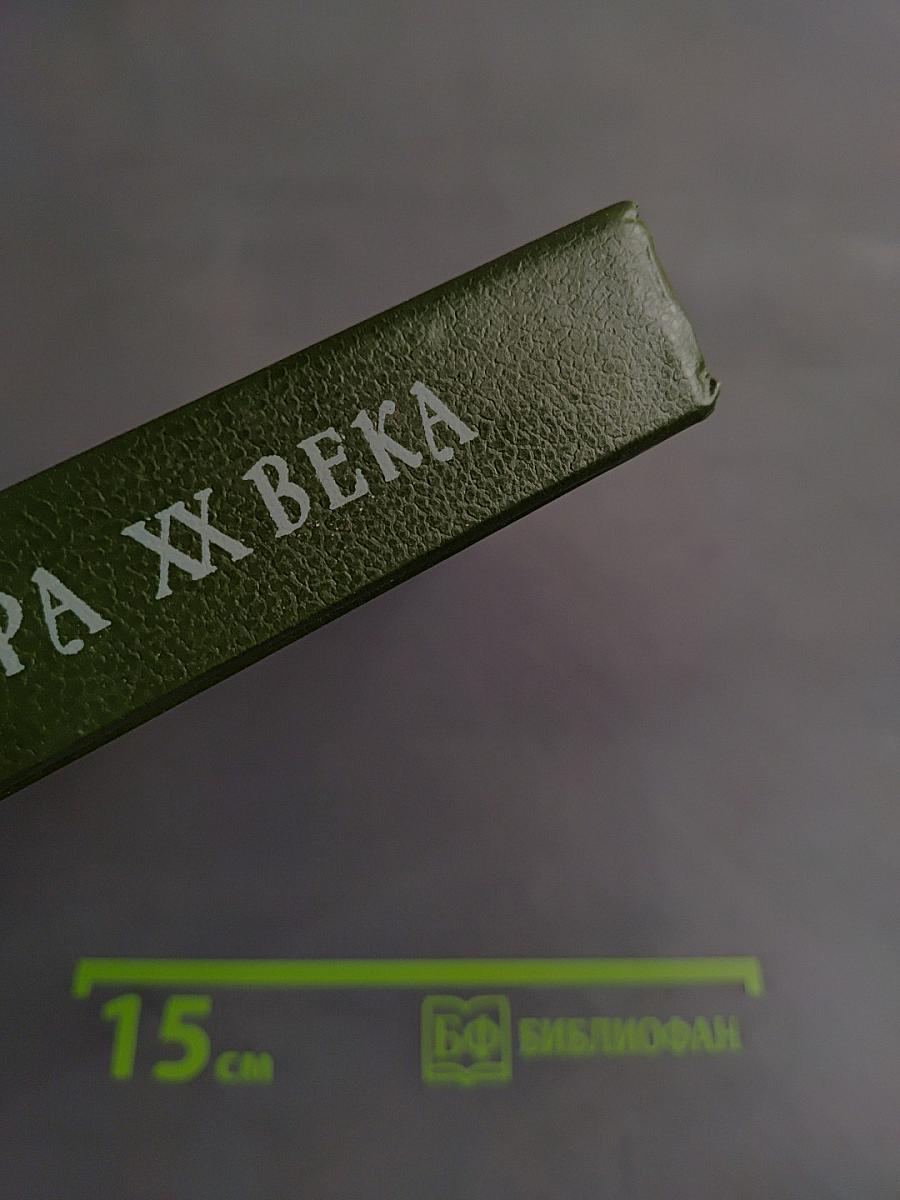 Русская литература XX века. Дооктябрьский период. Хрестоматия