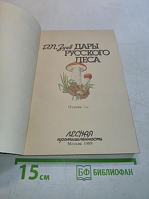 Дары русского леса
