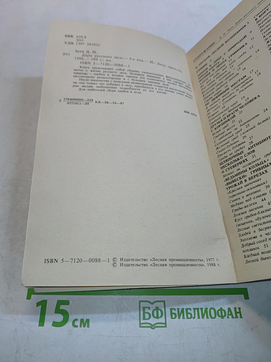 Дары русского леса