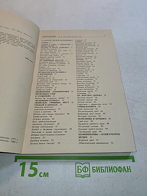 Дары русского леса