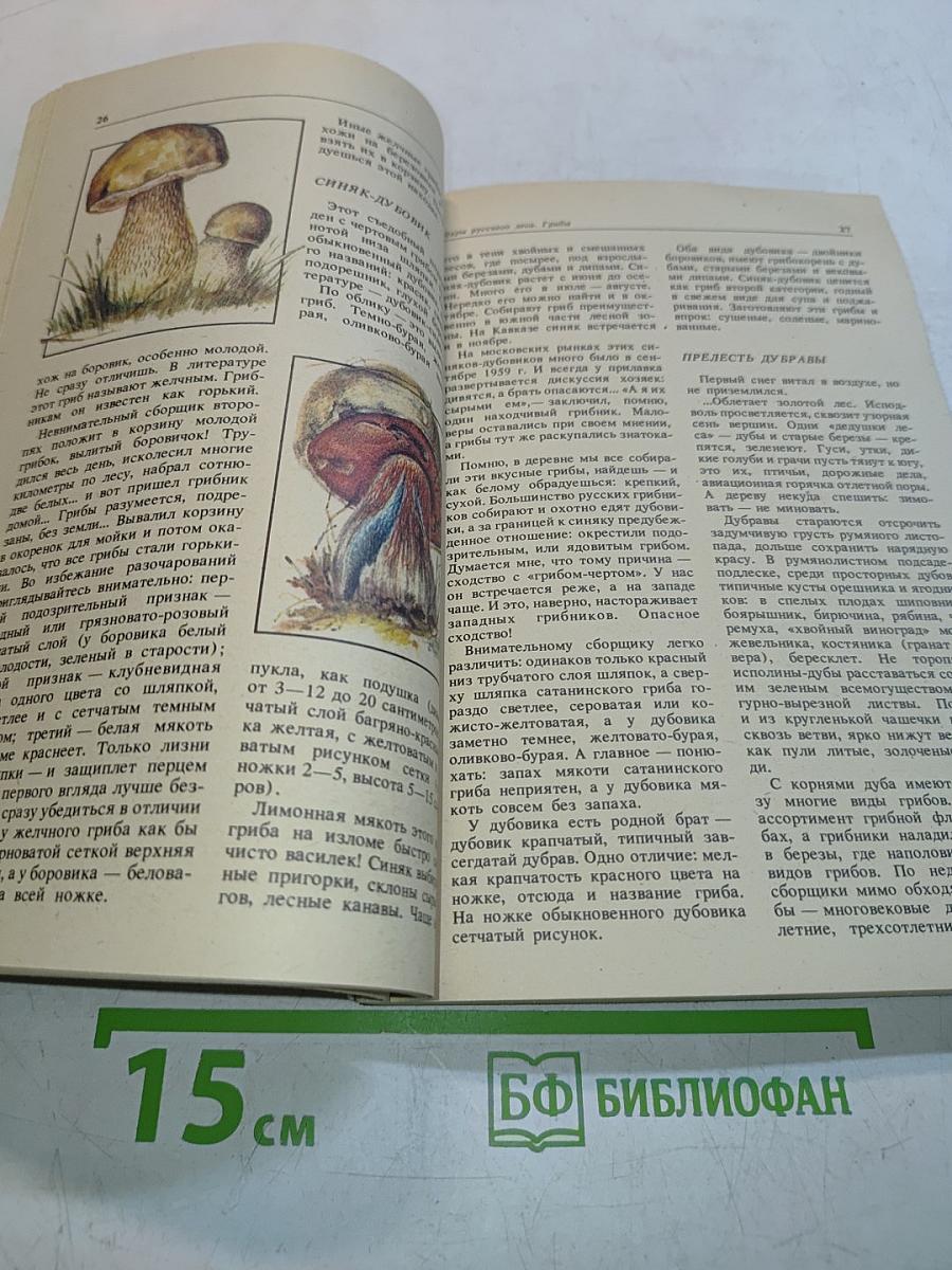Дары русского леса