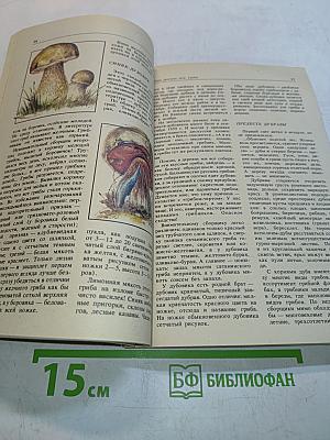 Дары русского леса