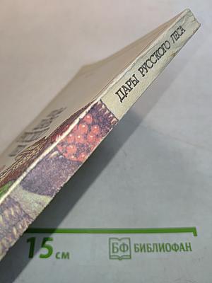 Дары русского леса