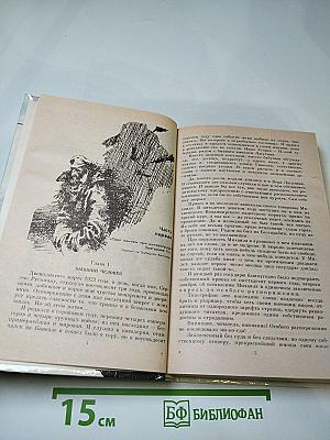 Одеты камнем. Радищев