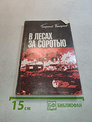 В лесах за соротью