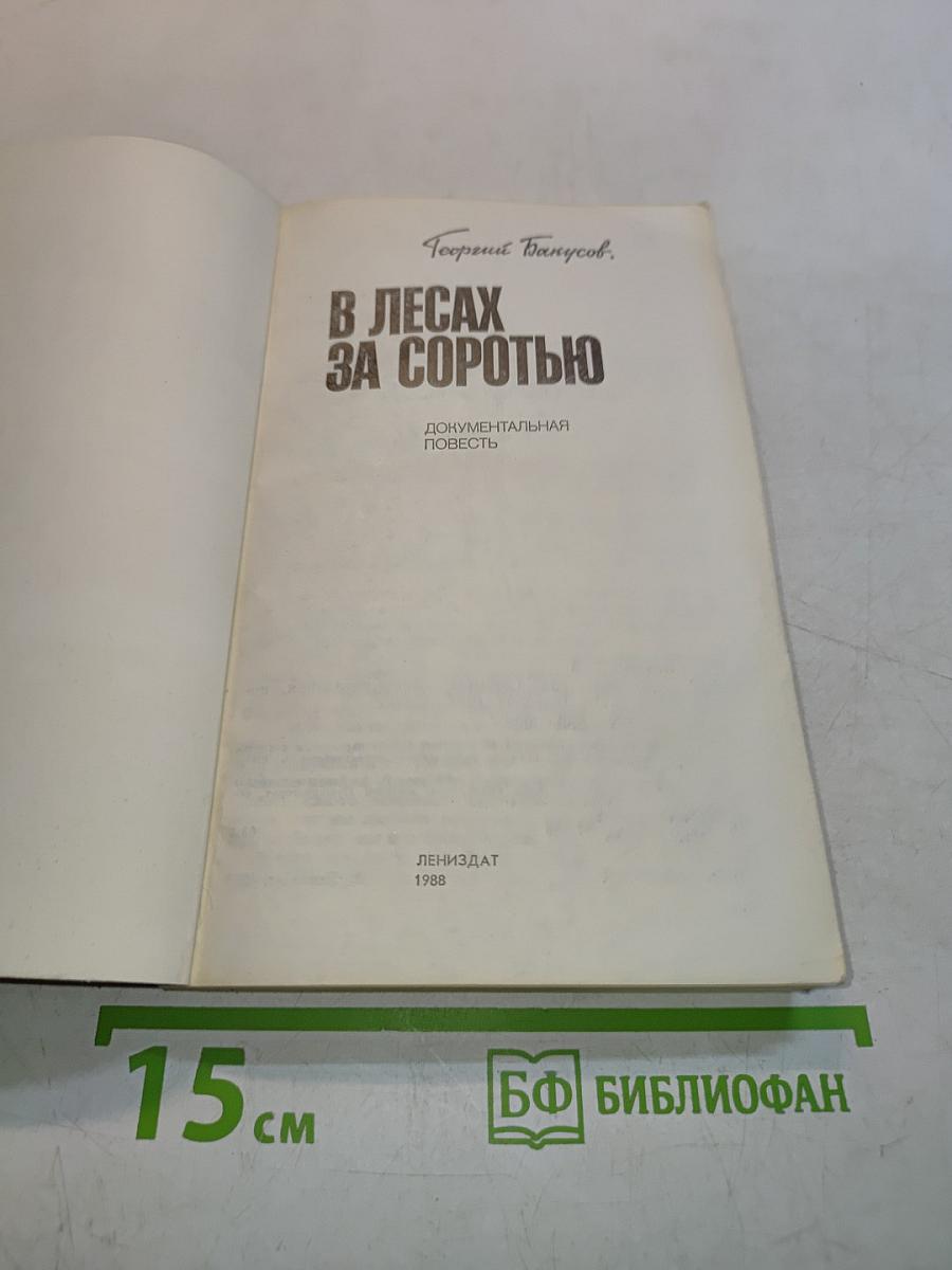 В лесах за соротью
