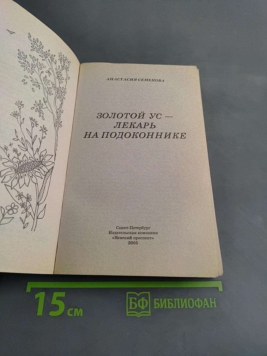 Золотой ус — лекарь на подоконнике