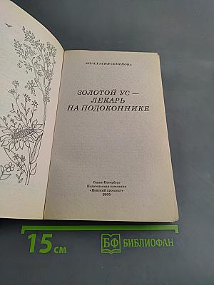 Золотой ус — лекарь на подоконнике