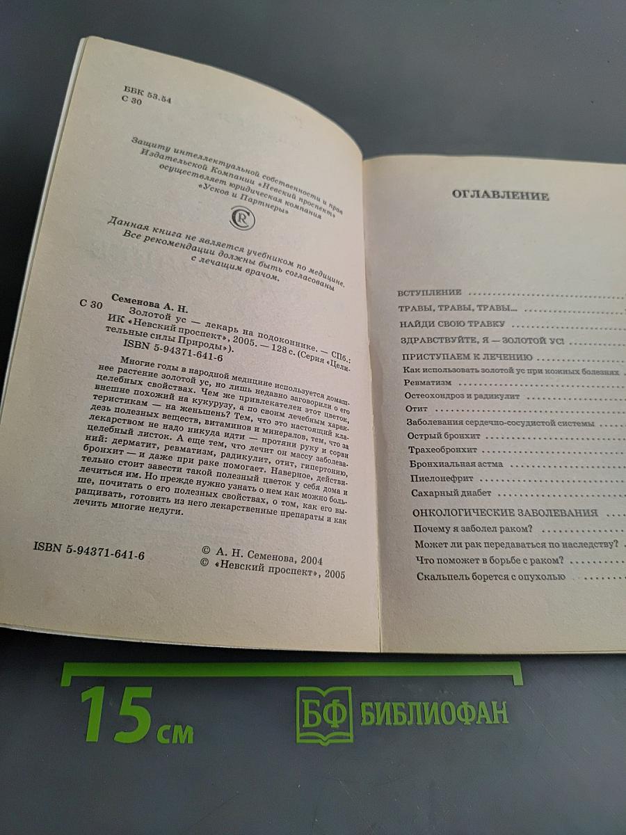 Золотой ус — лекарь на подоконнике