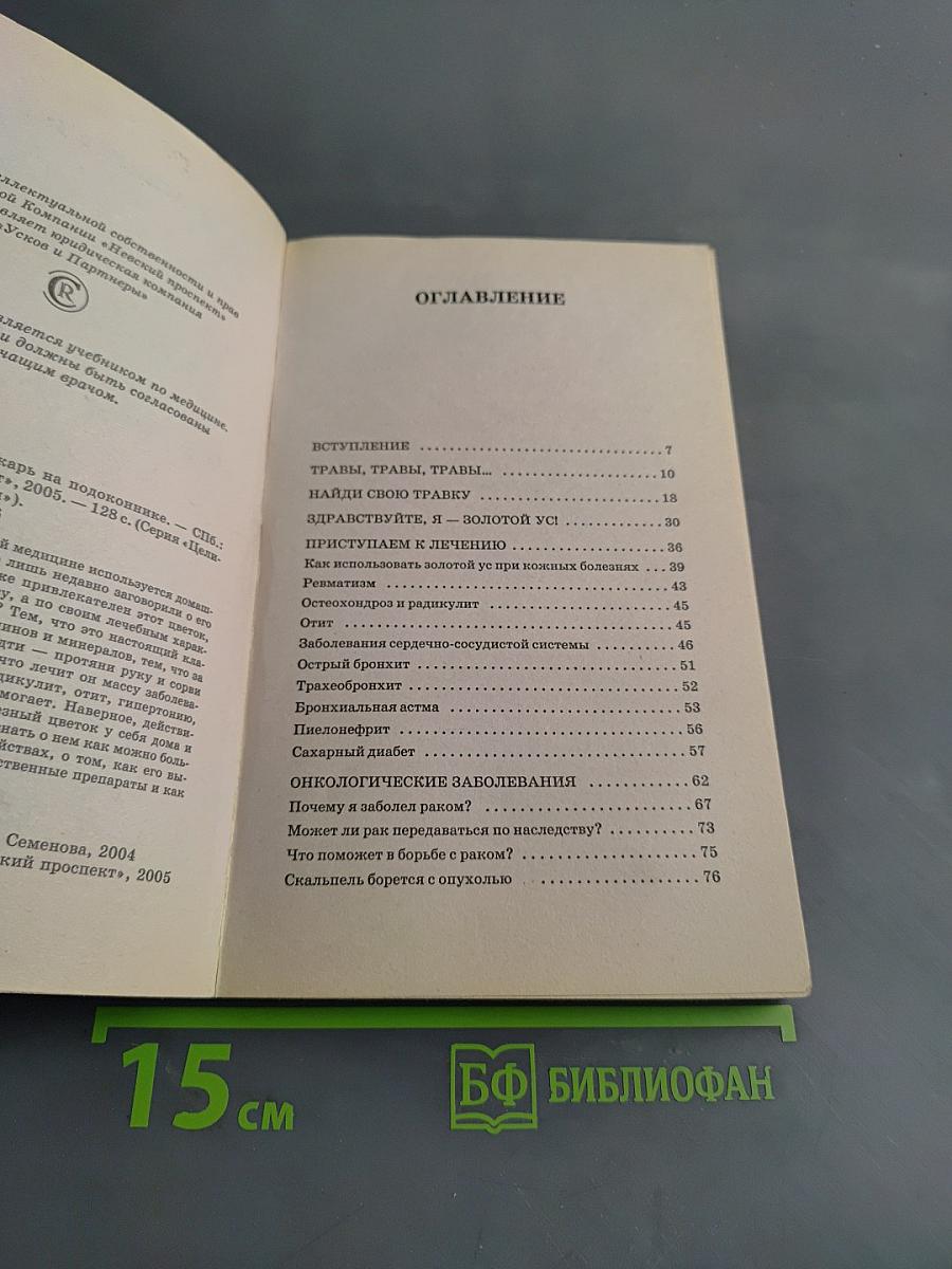 Золотой ус — лекарь на подоконнике