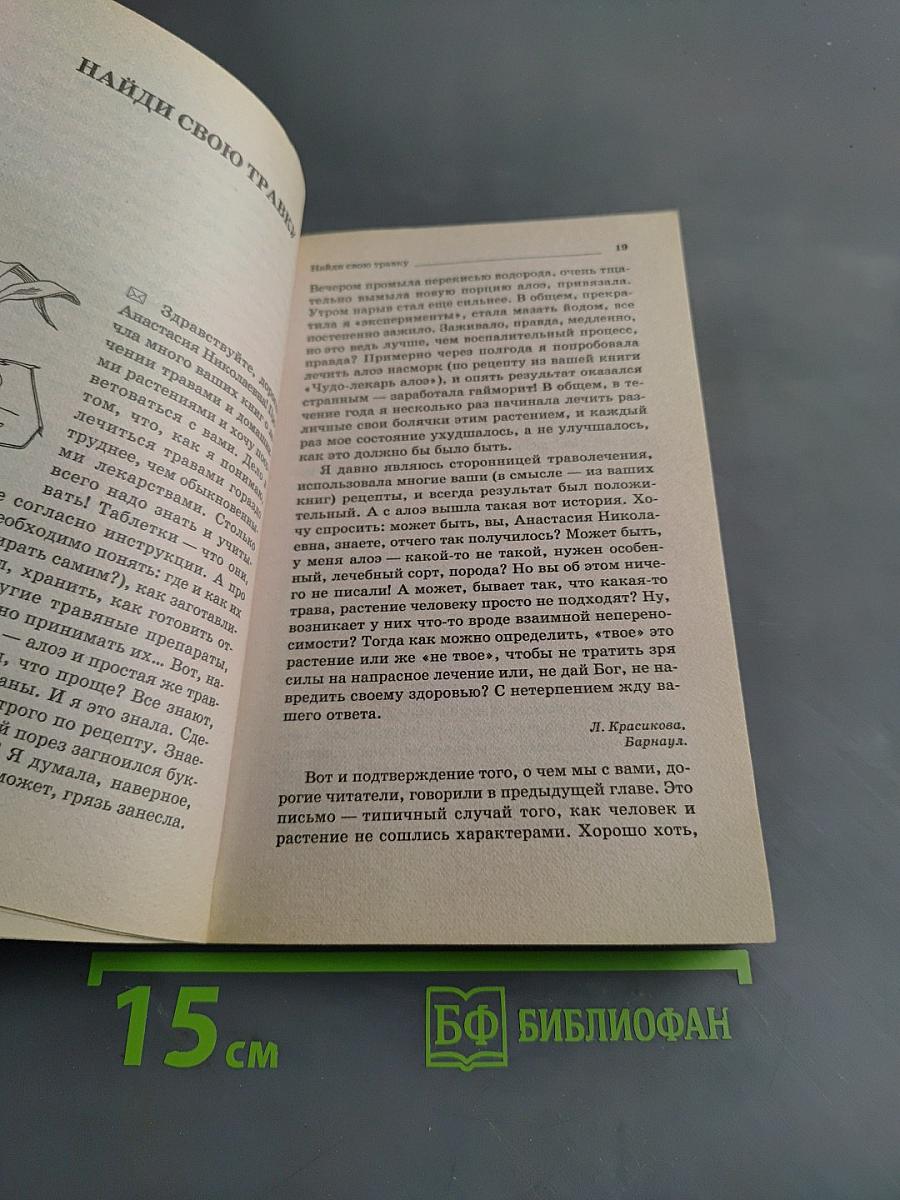 Золотой ус — лекарь на подоконнике