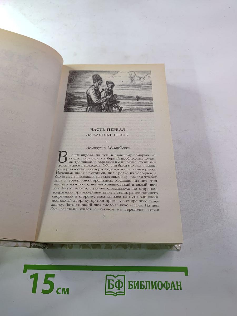 Беглые в Новороссии. Воля. Княжна Тараканова
