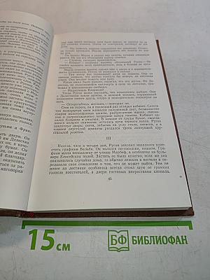 Его превосходительство Эжен Ругон. Том 5