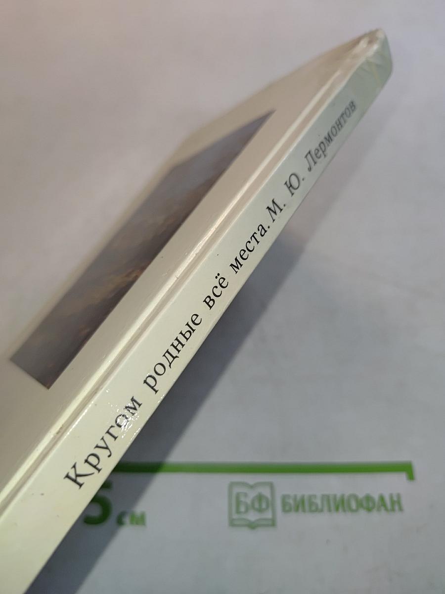 Кругом родные всё места