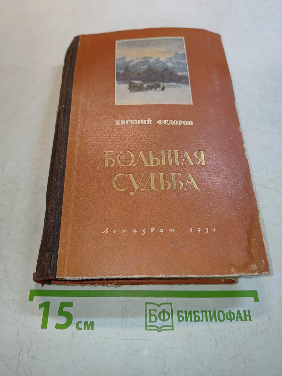 Большая судьба
