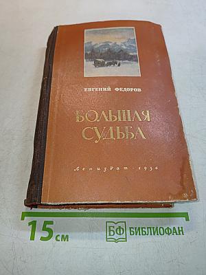 Большая судьба