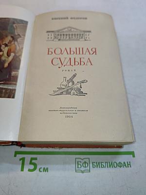 Большая судьба