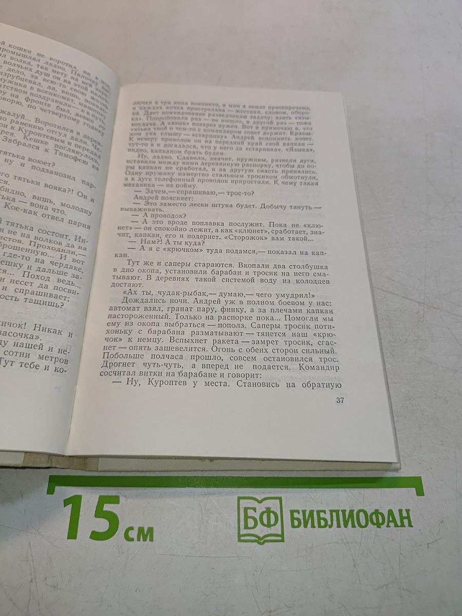 Зорька на яблочке