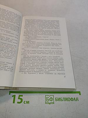 Зорька на яблочке