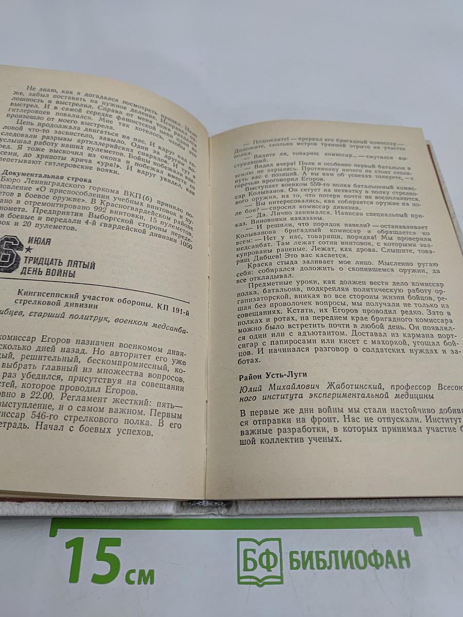 Лужский рубеж. Год 1941-й