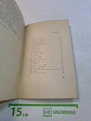 Микеланджело